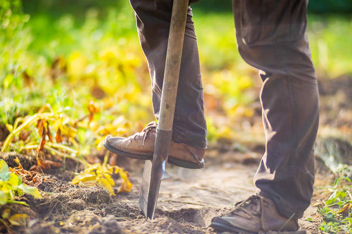 potager octobre