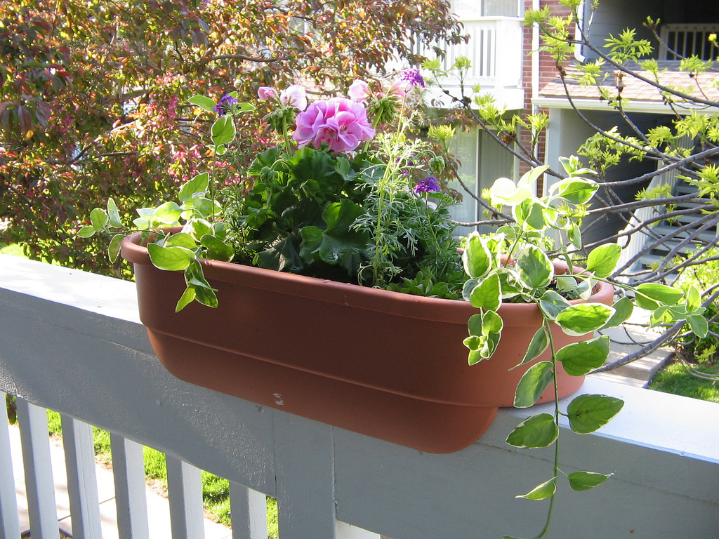 Recyclage créatif - Planter designed to sit on a railing on a balcony. There are wave petunias (white and pink), Vinca major, Pelargonium, Viburnum, a
