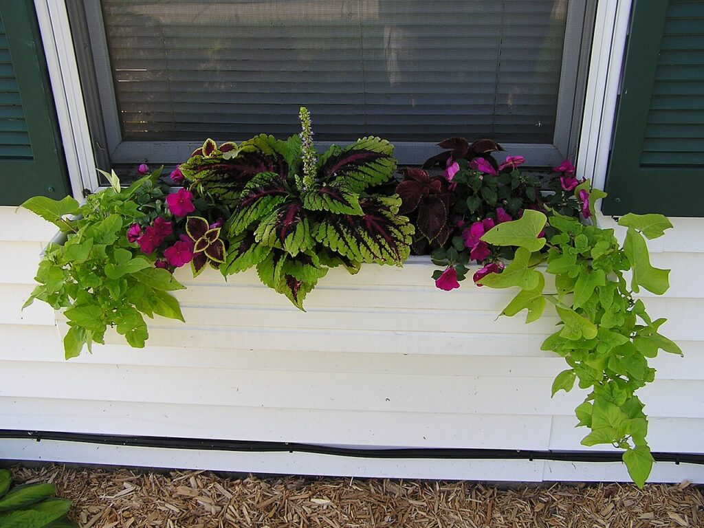 Créer un magnifique jardin vertical sur le balcon avec ces 10 idées récup - Window Flower Box