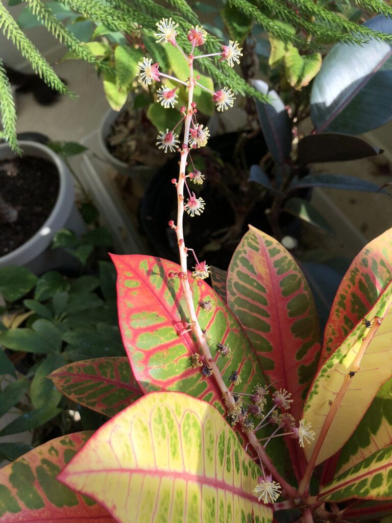 Un coin plantes vertes dans votre intérieur! Voici 20 idées pour vous inspirer…