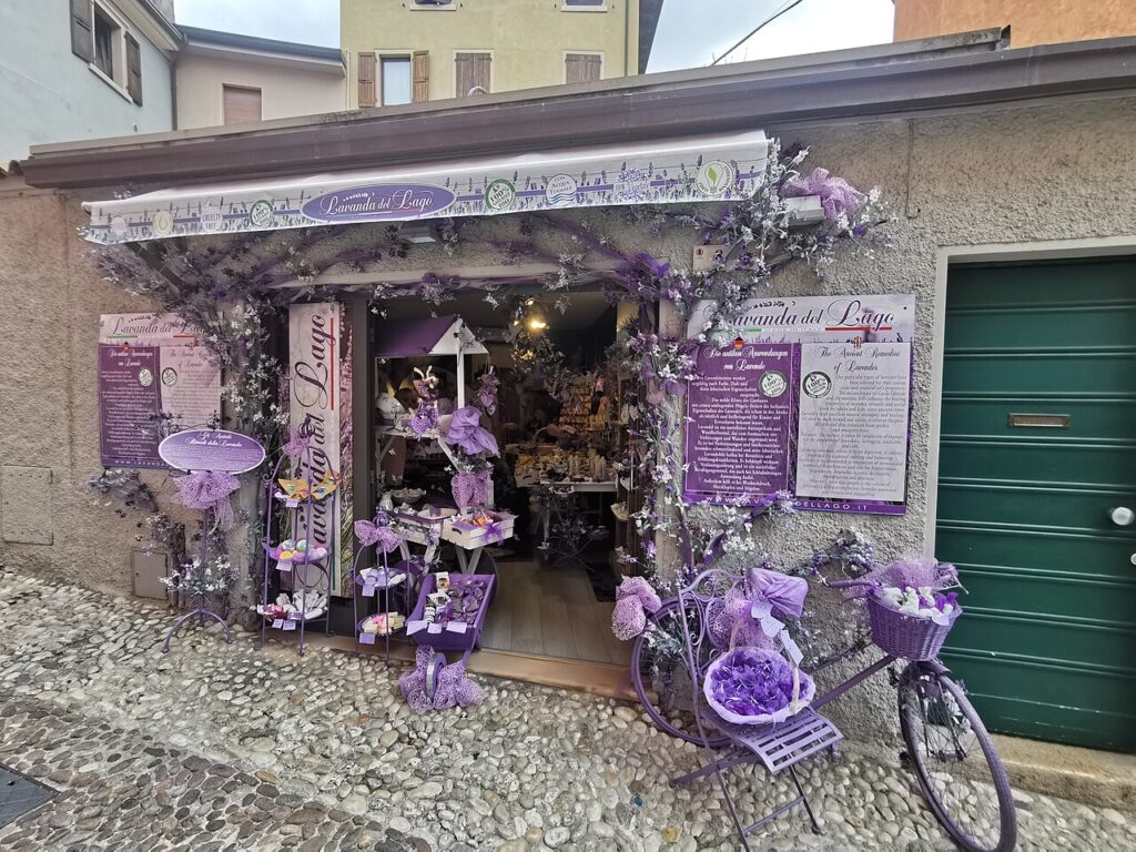 Un parterre de fleurs parfumé à la lavande - All-purple store