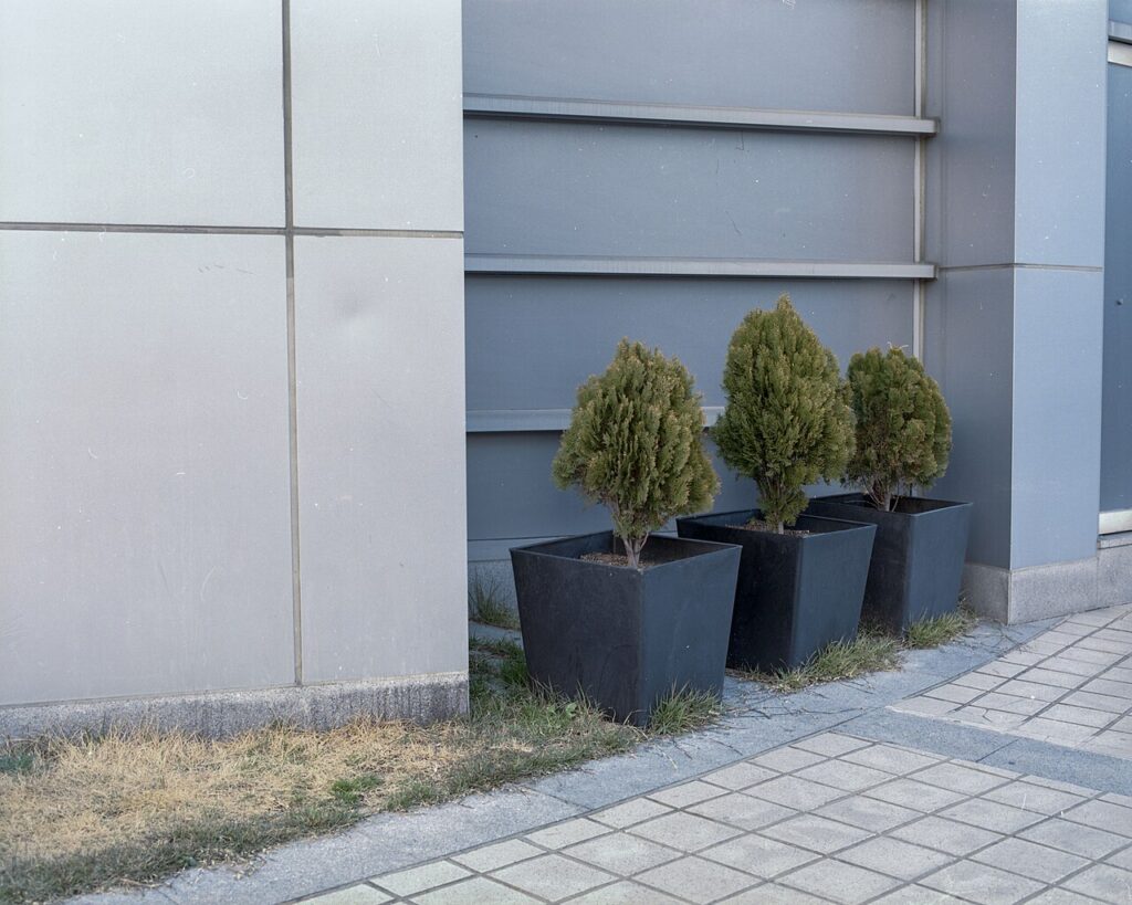 Recyclage créatif - planting