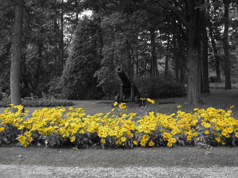 Un parterre de fleurs créatif dans le jardin: 10 idées merveilleuses pour un extérieur remarquable