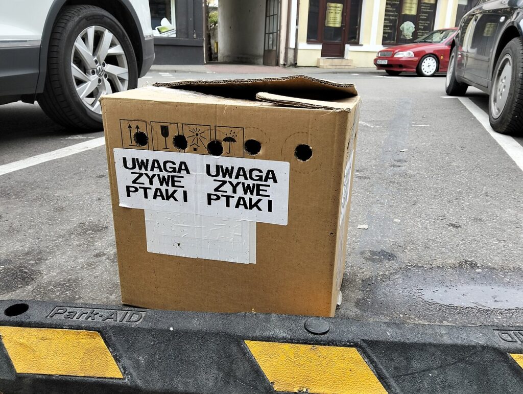 20 idées récup avec des assiettes en carton! Laissez - Pudło z żywymi ptakami na parkingu w Garwolinie.