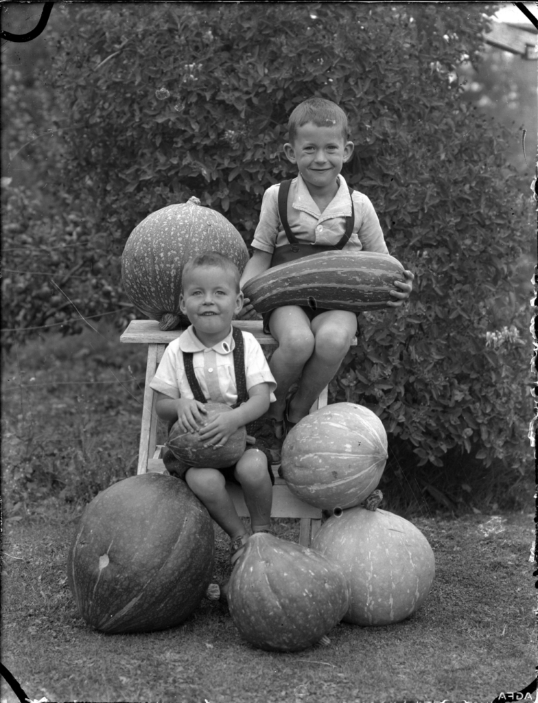 13 décorations d’automne rustiques pour la maison! Laissez - Albert Percy Godber's grandsons, Colin (top) and Norman Hartwig, sitting surrounded by hu