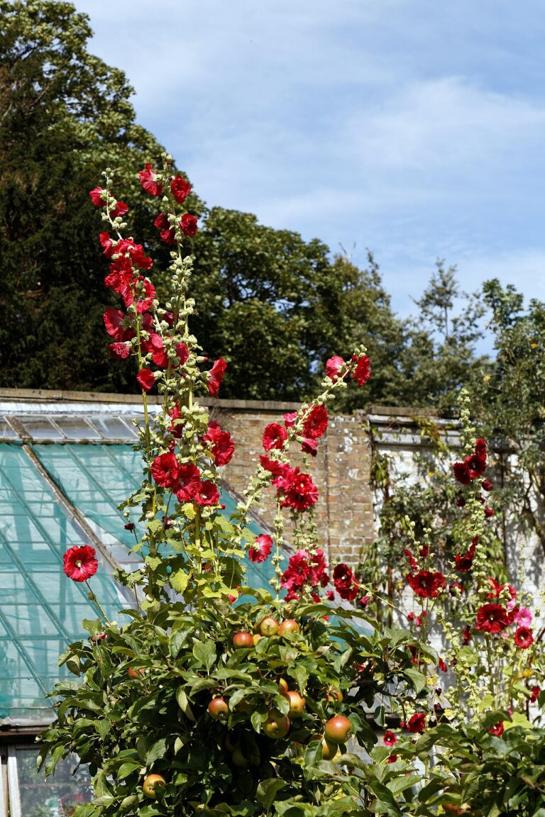 Récupération et recyclage : 10 bacs à fleurs originaux et créatifs