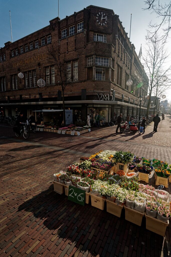 Utiliser des plantes à bulbes pour créer un petit coin de printemps chez soi - Alkmaar - Laat - View South on former V&D Department Store & Ridderstra