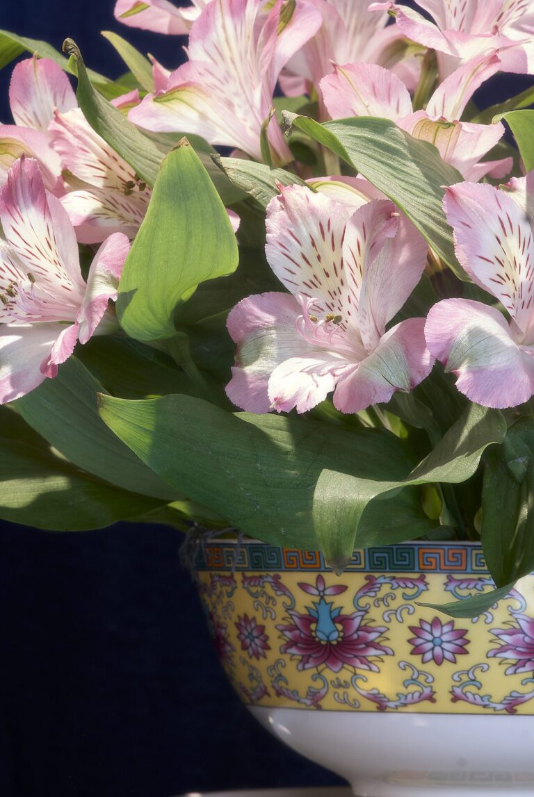 Voici 7 variétés de fleurs qui se prêtent à une maison au style shabby : laissez-vous inspirer