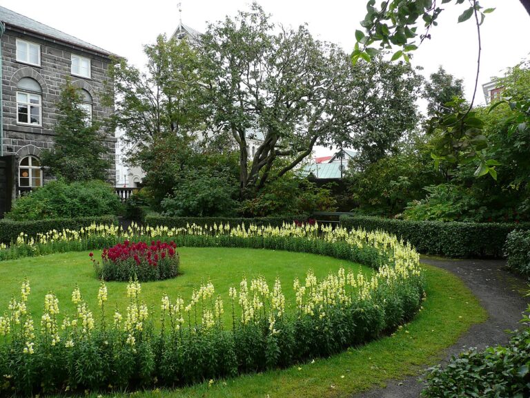 Les secrets d’un parterre de fleurs réussi : quelles fleurs choisir ?