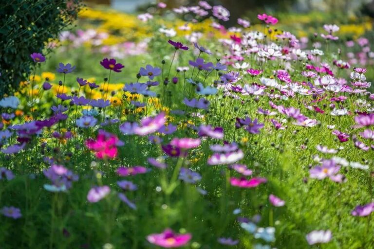 Laissez-vous séduire par ces merveilleuses idées pour créer des parterres de fleurs dans le jardin