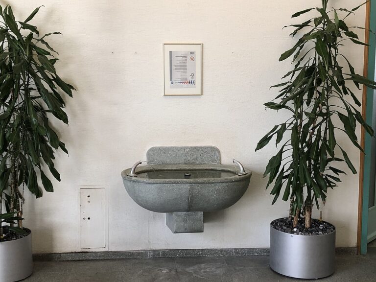 Voici 5 plantes d’intérieur qui nécessitent peu d’eau : laissez-vous inspirer