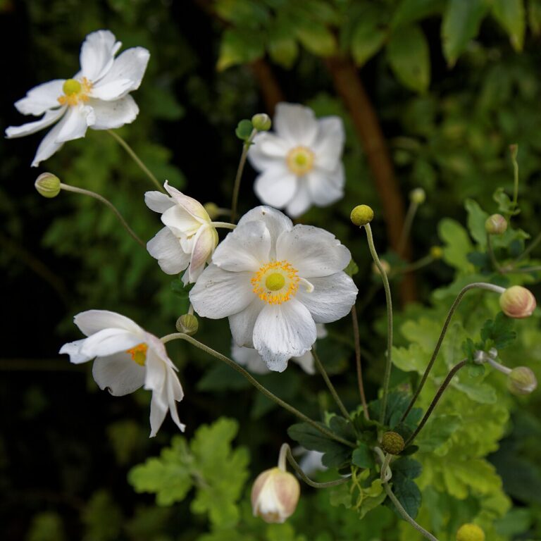 Jardins verticaux intérieurs et extérieurs : 20 idées originales pour s’inspirer