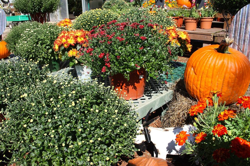 13 décorations d’automne rustiques pour la maison! Laissez - ACES | Bruce Dupree