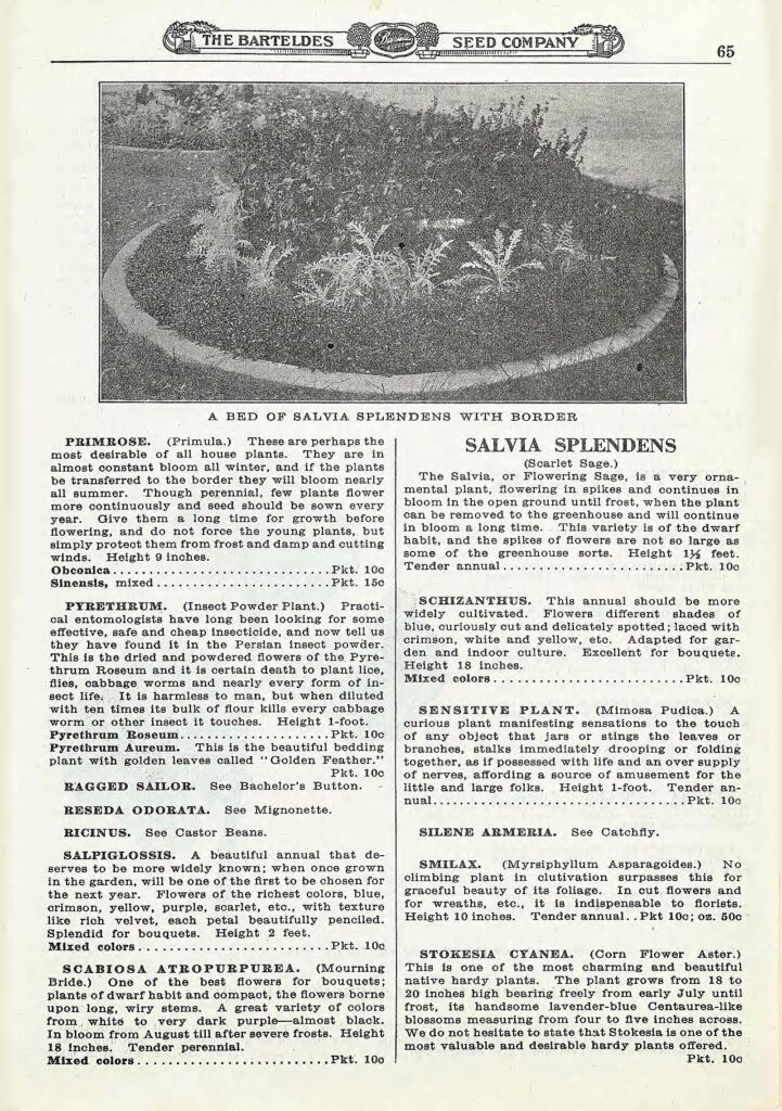 Murs en pierre, parterres de fleurs - Barteldes Seed : [catalog] /