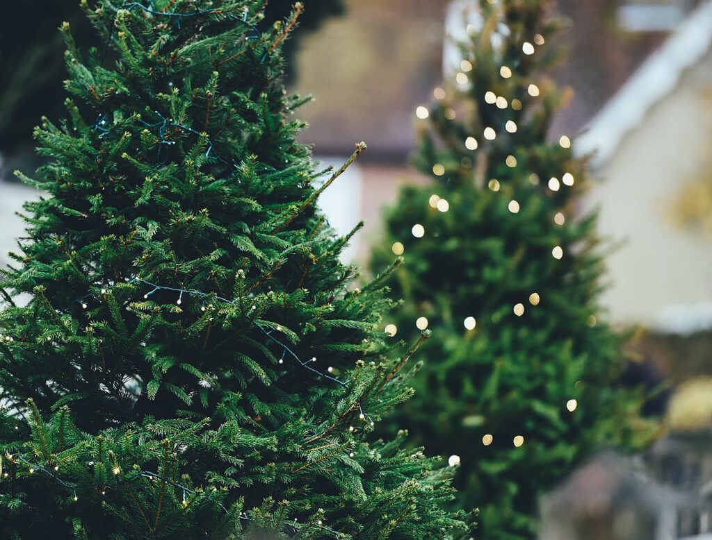 13 alternatives aux boules traditionnelles de Noël ! Libérez votre créativité - Beaulieu, United Kingdom