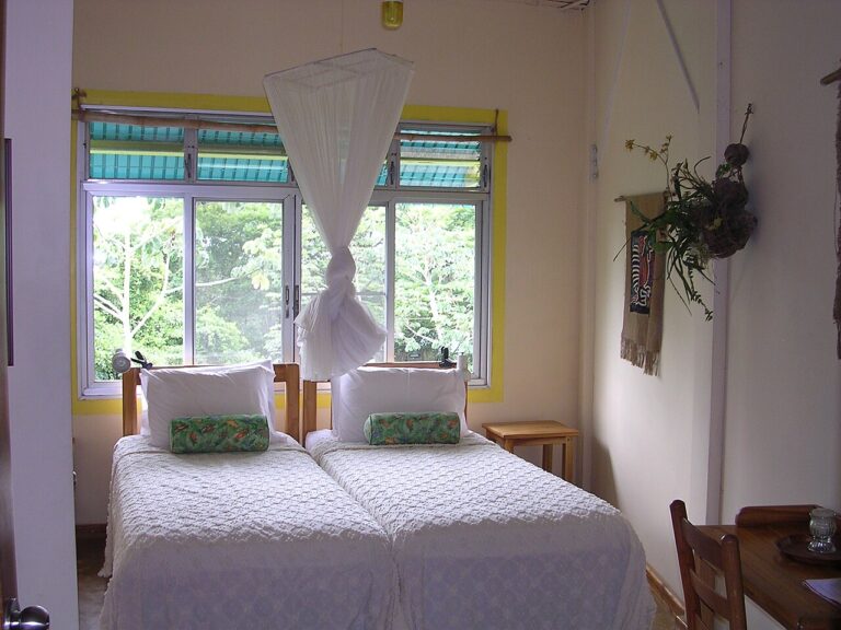 Salon et chambre dans la même pièce! 20 idées pour aménager un studio…