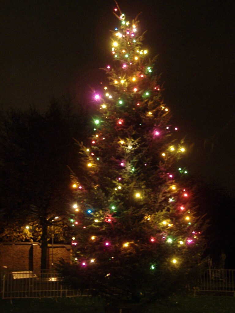 Un sapin de Noel à déguster en famille! Voici 15 idées créatives pour vous inspirer… - The Beeston Christmas tree.