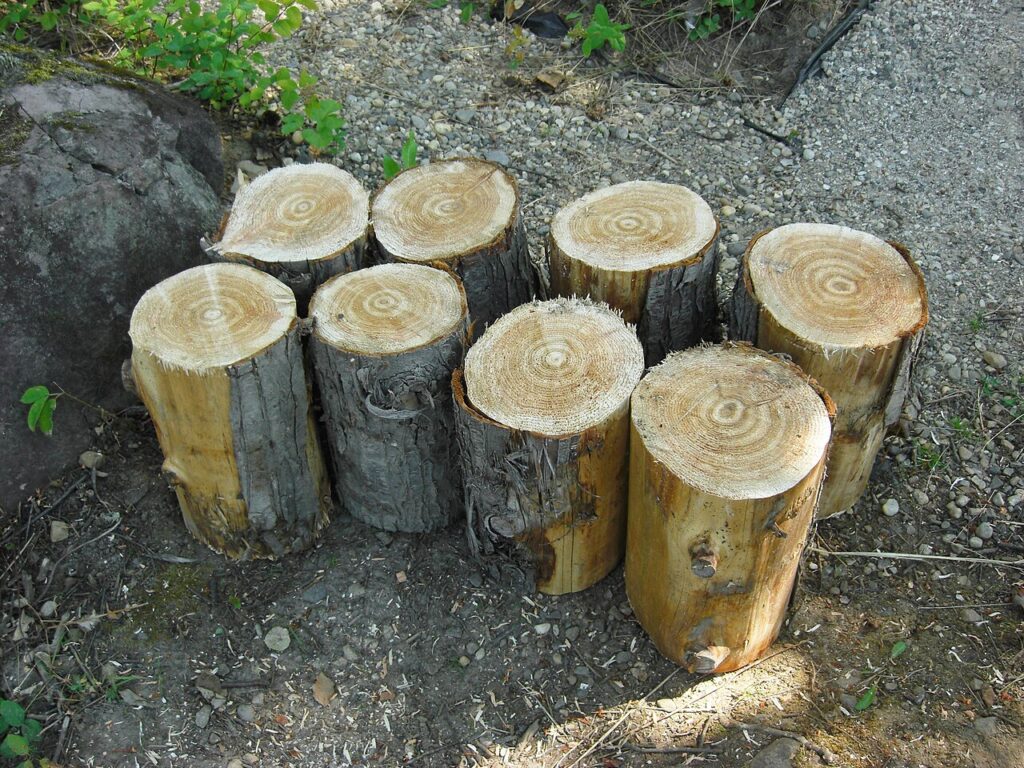 Décorer un tronc avec des fleurs! Voici 15 idées pour votre jardin… - How to build, err..., "rustic" benches in ten easy steps, with just a chainsaw a