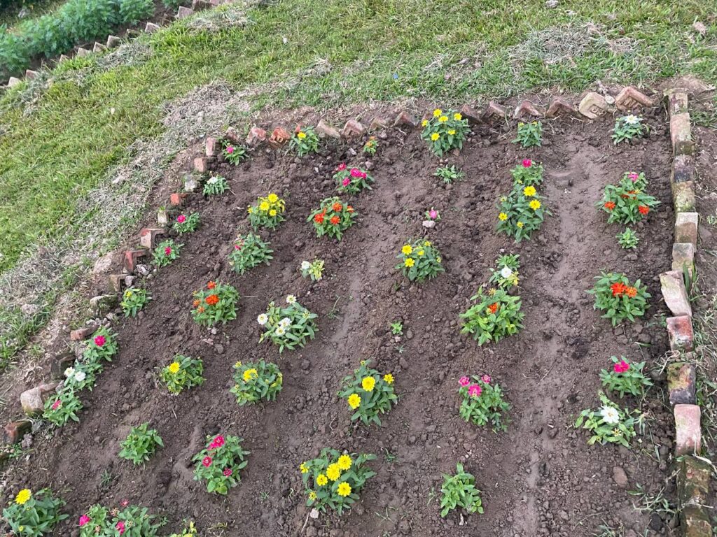 Jardinage à l’ombre - Botanical Garden, CU