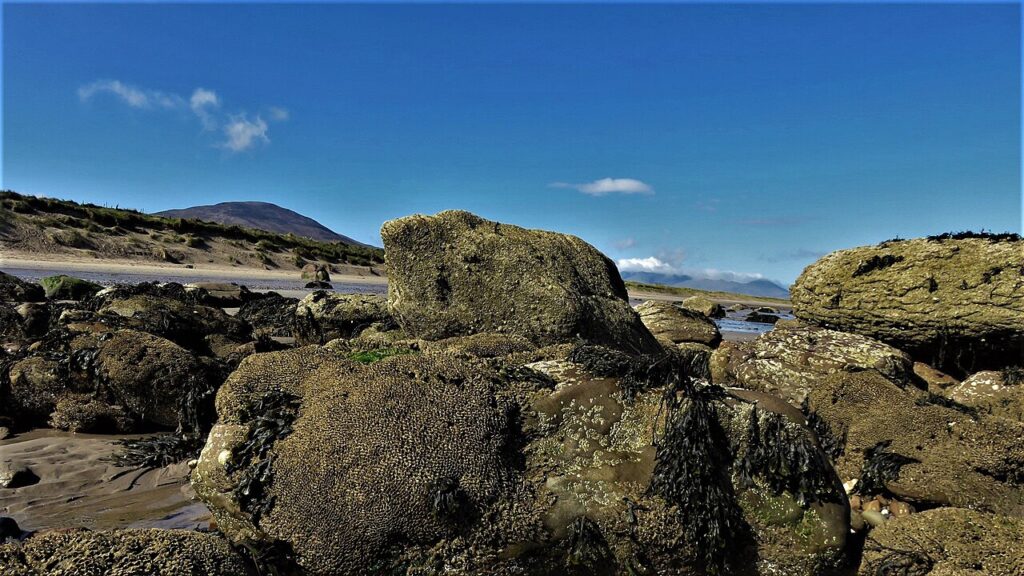 DIY | Créations avec des coquillages pour sublimer votre intérieur! 20 idées… - Low tide on Aughacasla Beach on the shores of Tralee Bay, east of Cast