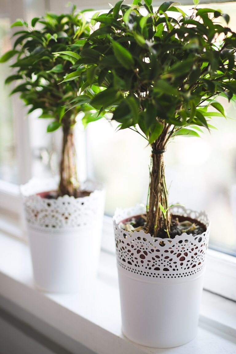 Un peu d’inspi pour décorer le séjour avec des plantes! 20 idées…