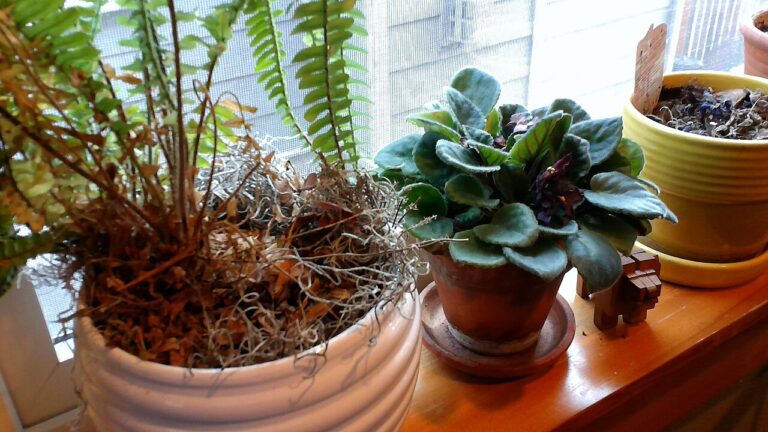 20 idées créatives pour étiqueter les plantes de votre jardin! Laissez-vous inspirer…