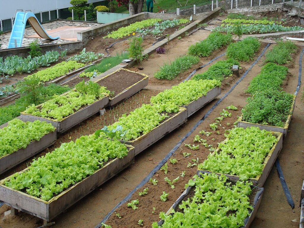 Revêtement de sol en bois de palettes pour le jardin! 20 idées pour vous inspirer… - The garden at CEIFAR, a community project in Salvador, Bahia Braz