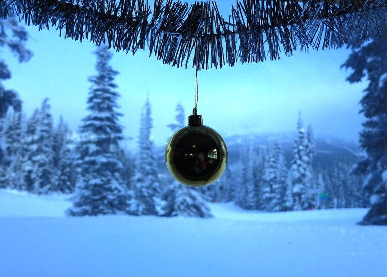 Comment décorer la base du sapin de Noel? La résponse en 20 idées créatives…
