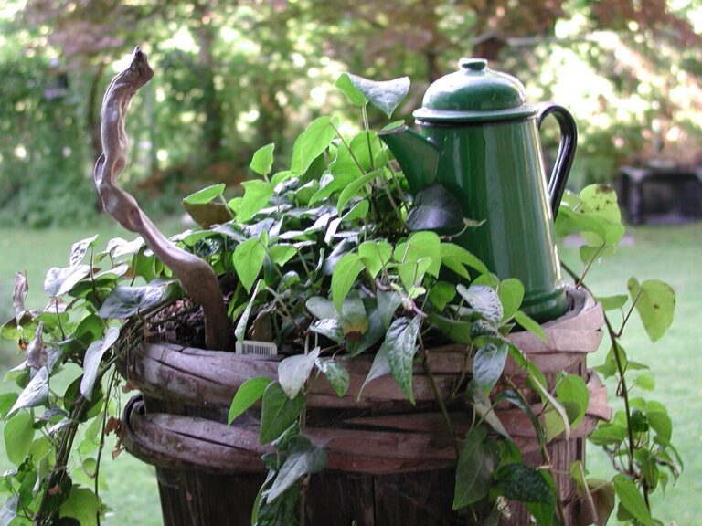 Créer une jardinière originale fait maison! 20 idées + Tutoriel