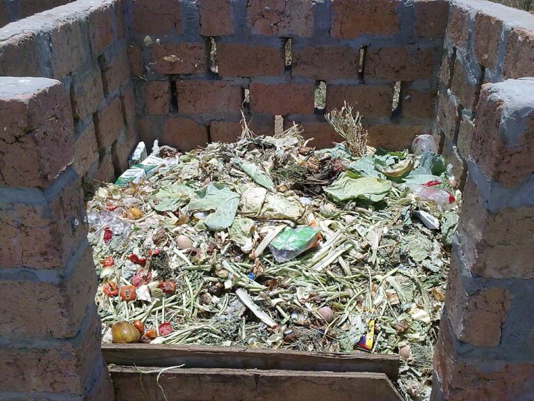 Le secret insolite pour un jardin prospère : l’urine comme engrais gratuit