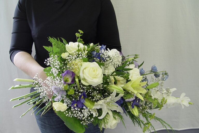Fleurs de printemps magnifiques et faciles à cultiver : la liste à ne pas manquer
