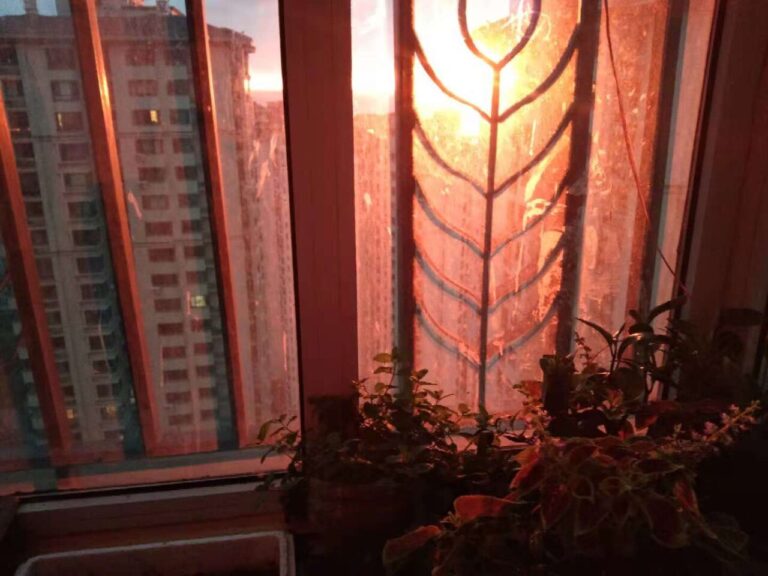 10 idées pour s’inspirer : le petit balcon devient magnifique avec IKEA