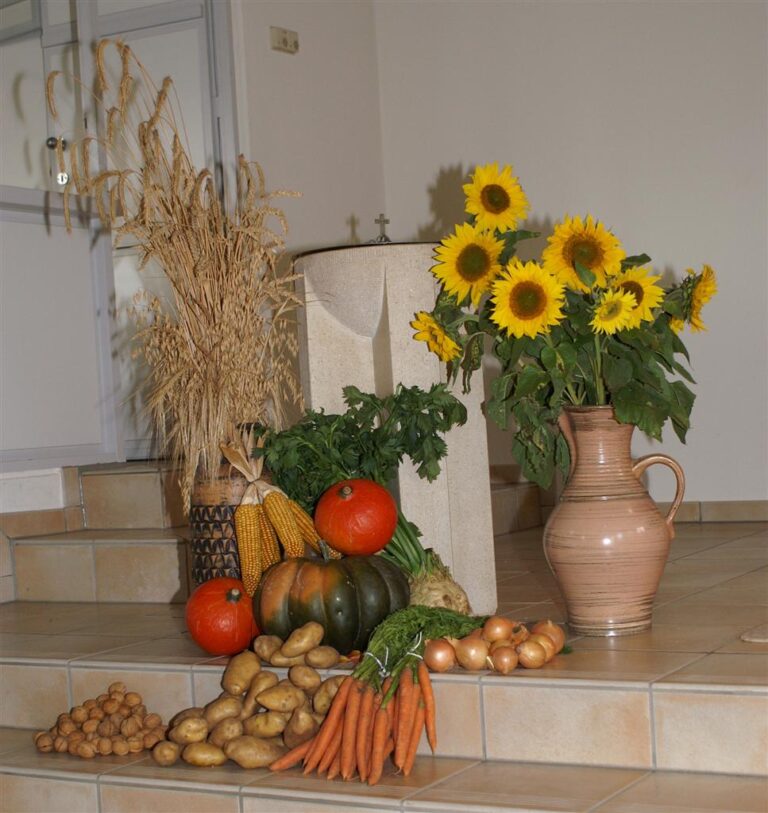 La cuisine s’habille pour l’automne : voici quelques idées inspirantes