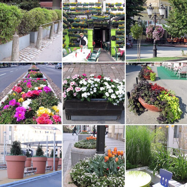 Jardinières suspendues : 11 idées pour un extérieur enchanteur