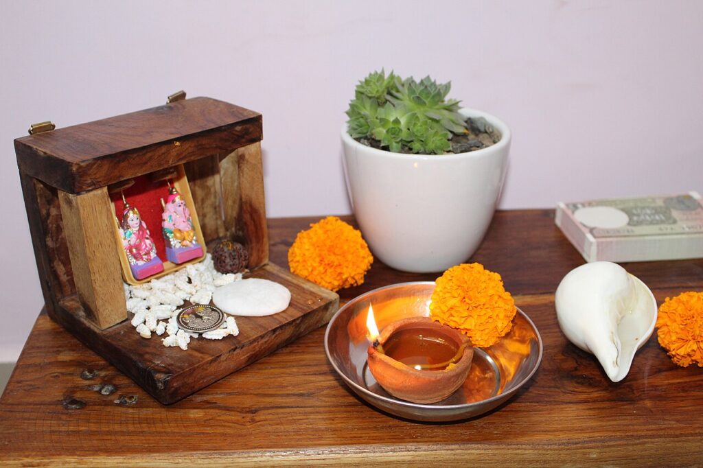L’arrosage des plantes grasses - Diwali Decorations and Celebrations 2021