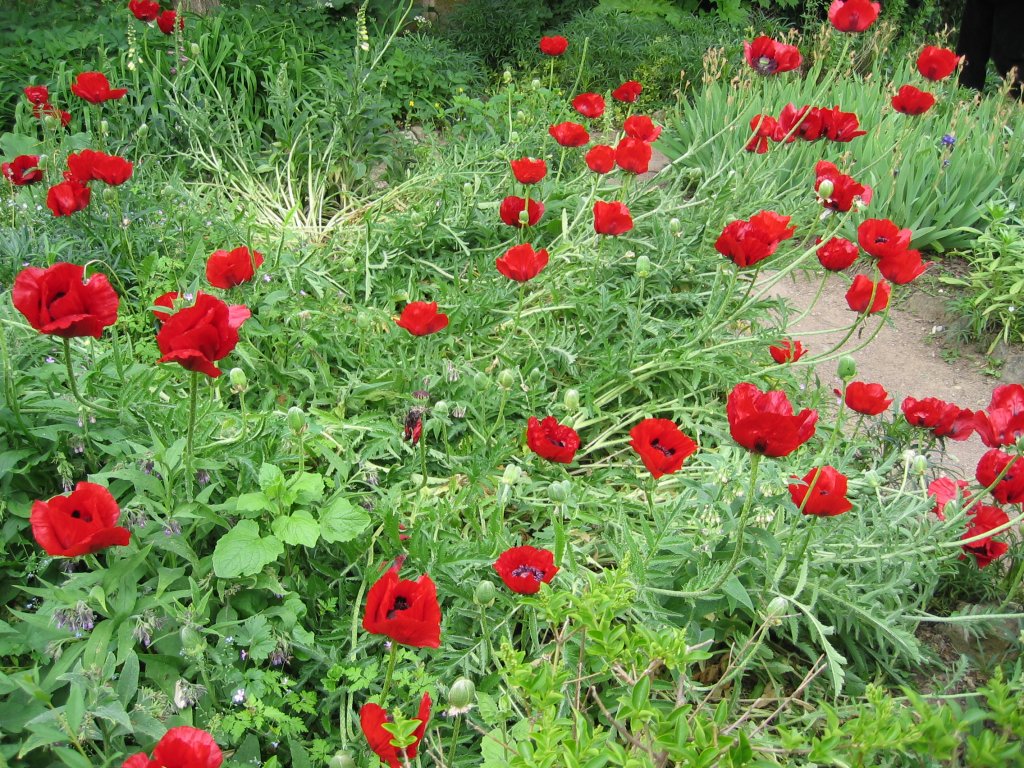 15 idées originales pour poser les dalles de jardin! Laissez - Ecomusée d'Alsace