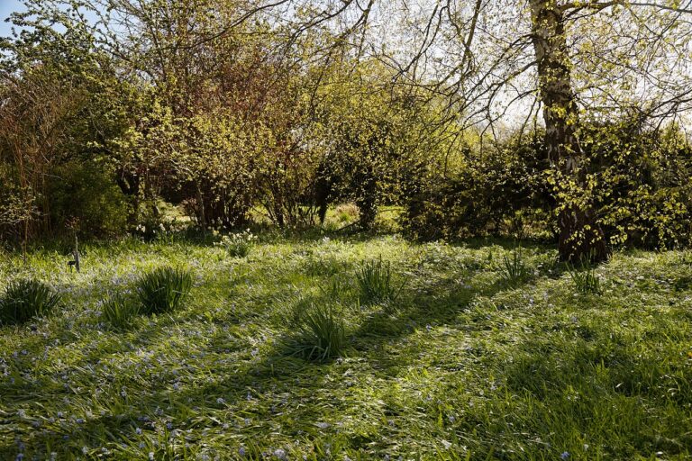 Avoir une belle entrée fleurie au printemps : 10 idées pour s’inspirer