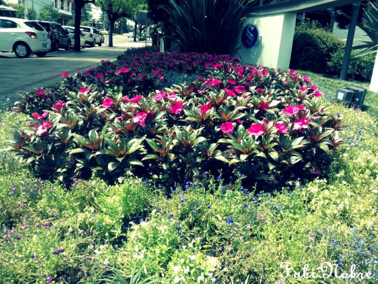 Parterres de fleurs DIY : comment créer un jardin élégant à l’aide de matériaux de récup’