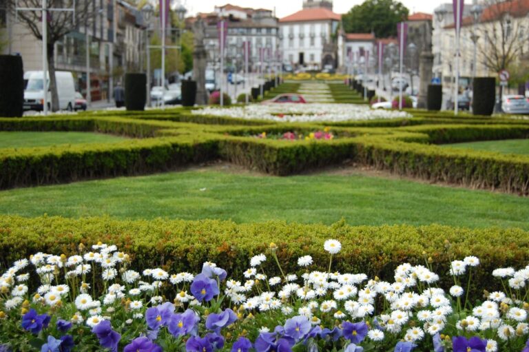 Jardin enchanteur : 5 fleurs d’un jaune éclatant pour ajouter une touche de soleil à vos parterres