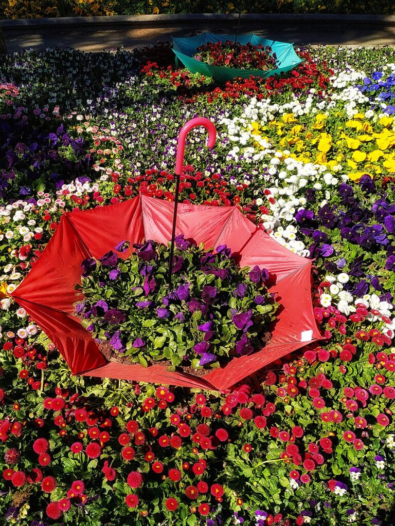 Une jardinière avec palette très déco! 9 idées + tutoriel… - One of the photos in a series of photographs representing various species of floral plant