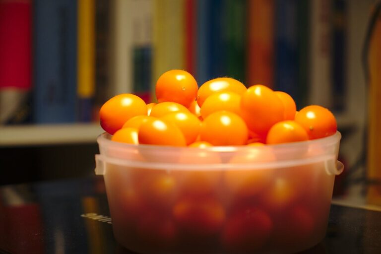 Boostez votre récolte de tomates : les 10 alliés insoupçonnés du potager