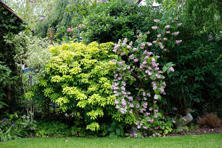 12 idées créatives et amusantes pour la déco du jardin : laissez-vous inspirer