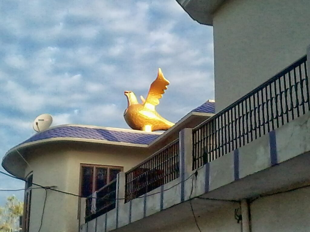 7 fleurs vivaces pour un balcon coloré à couper le souffle - its man made water storage tank.