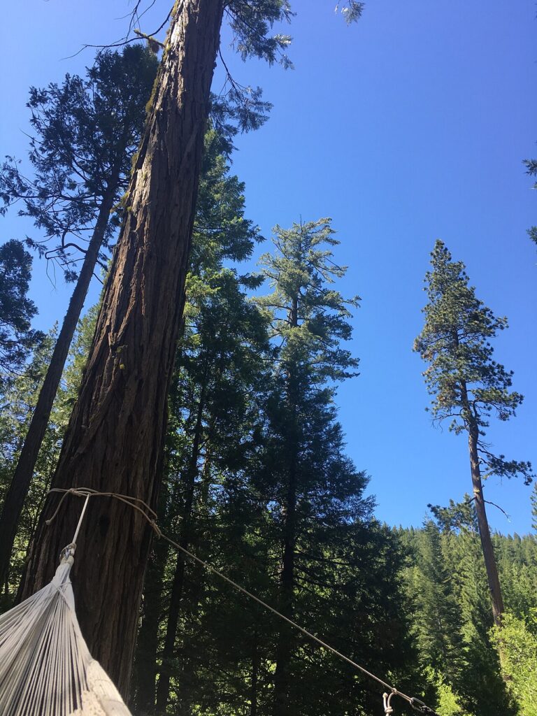 Total relax avec un spa à domicile à prix abordable! Voici les clés du paradis… - hammock time