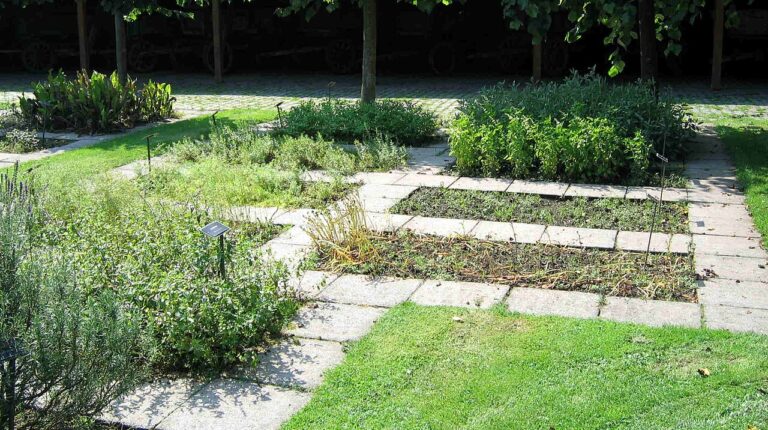 Puissant désherbant naturel DIY : éliminez les mauvaises herbes de votre jardin avec seulement 1 euro