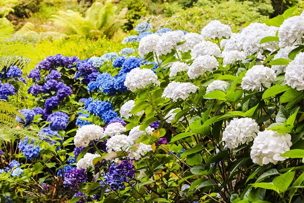 Illumination extérieure - Hydrangea flower