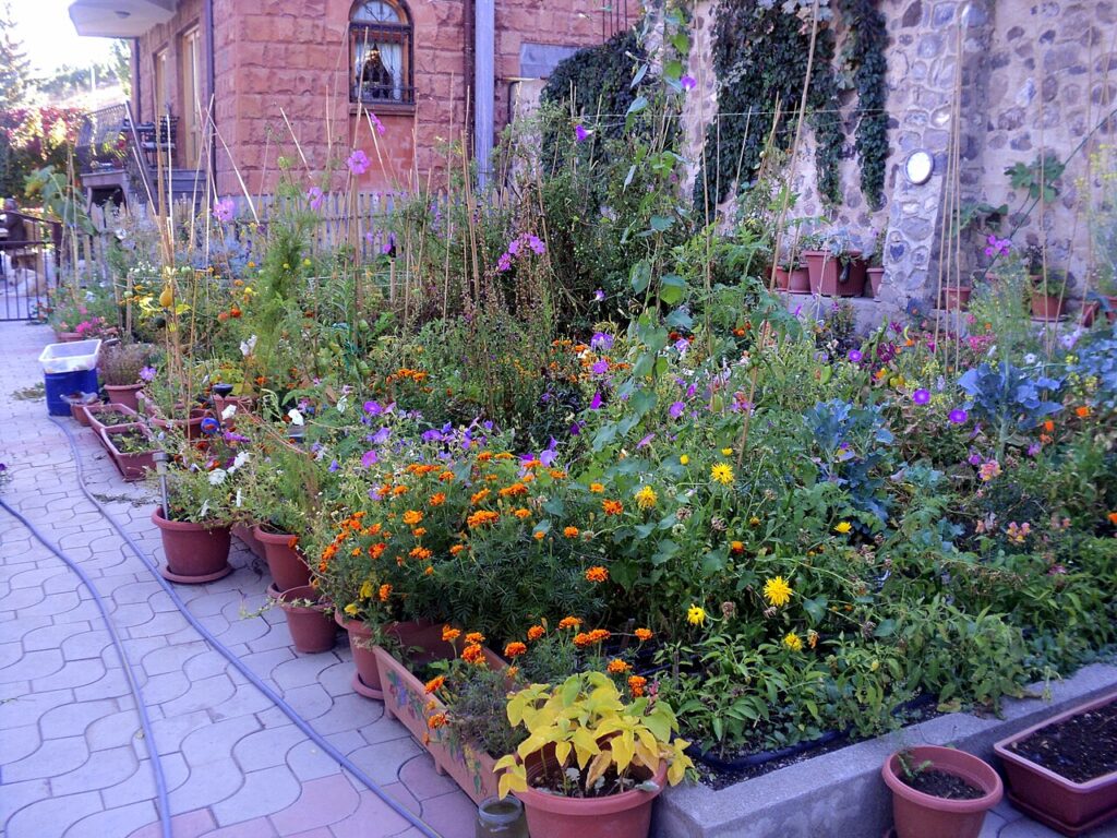 Le secret d’un jardin pas cher ? Récup, succulentes et une pincée de fantaisie - HyeLandz Eco Village Resort