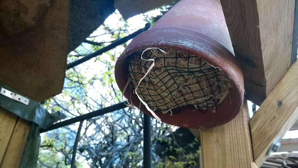 Fini les abeilles et les guêpes grâce à cette méthode naturelle - Nisthilfe für Ohrwürmer