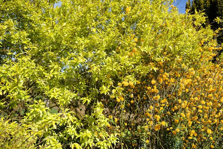 Le secret d’un jardin pas cher ? Récup, succulentes et une pincée de fantaisie : inspirez-vous !