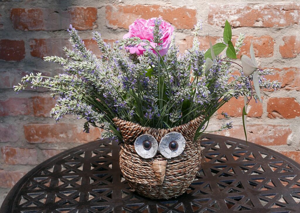 9 décorations DIY shabby avec de la lavande - Pflanzgefäß 'Eule' mit Lavendel und Rosa 'Mary Rose'